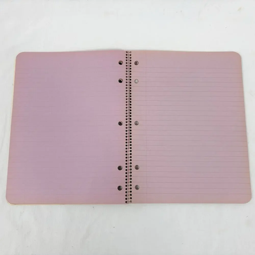 Vintage 1970s Westab Mead Love Notes Spiral Notebook Lot Color Filled Paper Rare